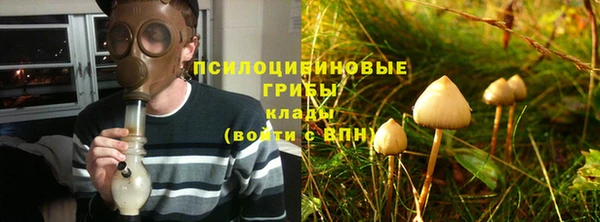 мяу мяу кристалл Елизово