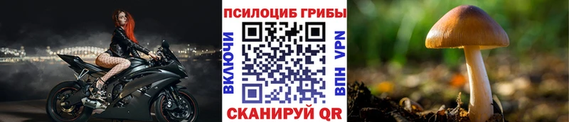 Галлюциногенные грибы прущие грибы  ссылка на мегу tor  Керчь  купить  